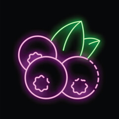 Neon sign illuminating a cluster of three ripe blueberries with green leaves, glowing against a dark background