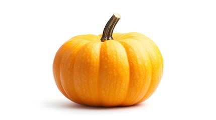 Obraz premium pumpkin isolated on white