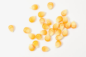 Many fresh corn kernels on white background, flat lay