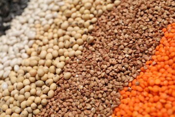 Different types of cereals, legumes and seeds as background, closeup