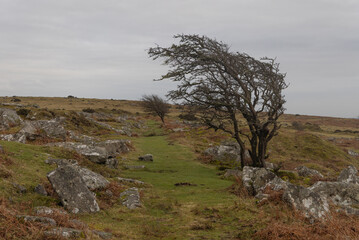 Captured at Minions a pathway leading you along Bodmin Moor on a grey cloudy day
