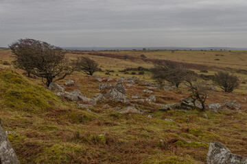 A view of Bodmin Moor on a grey cloudy day
