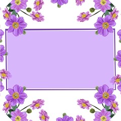 frame with flowers flower, floral, flowers, vector, illustration, design, pink, card, spring, nature, pattern, blossom, art, leaf, plant, summer, beauty, frame