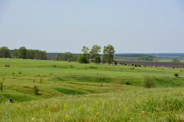 a valley and a plowed field with trees in the background