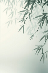 Serene Minimalist Bamboo Background for Relaxation