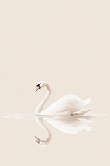 Fototapeta premium Serene Swan Floating on Calm Water