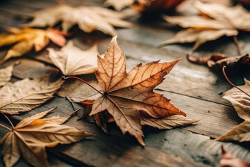 Obraz premium Autumn leaves scattered on a rustic wooden surface during fall season showcasing vibrant colors and textures