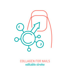 Collagen for nails line icon. Important protein pictogram.