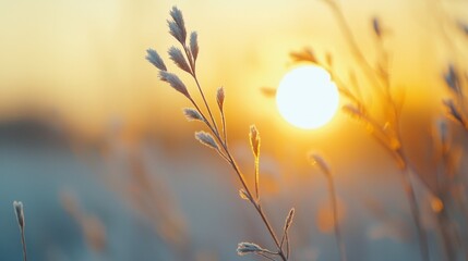 Obraz premium Golden Dawn, intimate view of sunrise hues blending in the sky, soft light illuminating the horizon, creating a serene and captivating morning atmosphere.