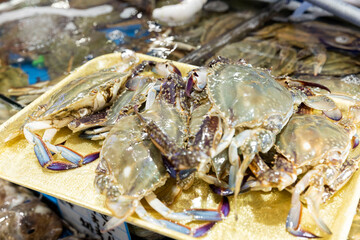 Korean seafood ingredients fresh blue crab