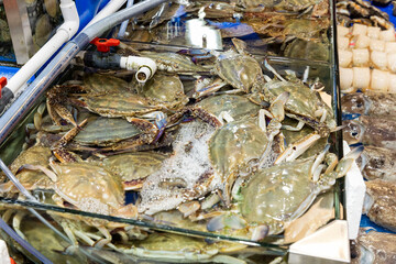 Korean seafood ingredients fresh blue crab