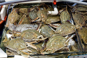 Korean seafood ingredients fresh blue crab