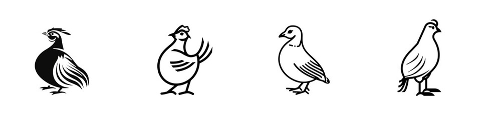 Illustration of various bird silhouettes in different poses, white isolate background.