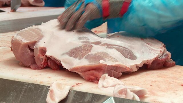 butchering of pork and beef carcasses production of minced meat from pork and beef meat in the stuffing machine of the meat processing plant