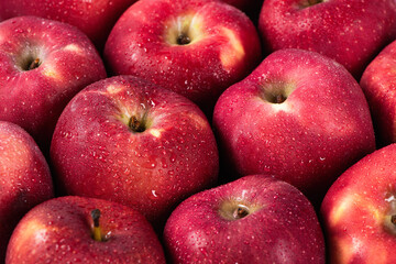 close up of fresh red delicious apples background. 