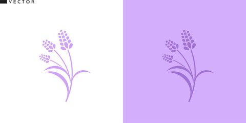 Lavender flower icon. Isolated lavender on white background. Purple flower