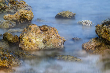A Close-Up View Shrouded in Fog. Captivating Long Exposure of Coral Reefs.