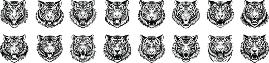 Set of tiger head illustrations in black and white. Tiger head design on white background.