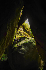Green moss among dark rocks