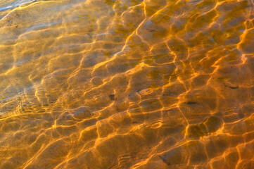 Water waves in the pool