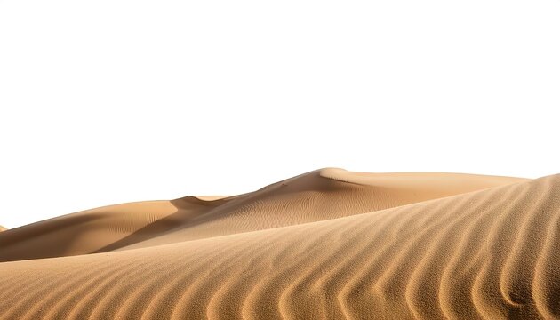 Sand ripple is a peculiar pattern of desert. It is formed by wind action on the surface of sand dune creating five major patterns including linear, zigzag, chain, ligulate and crescent type