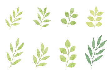 Assortment of watercolor leaves illustration set - green leaf branches collection for wedding, greetings, stationary, wallpapers, fashion, background. olive, green leaves, Eucalyptus etc