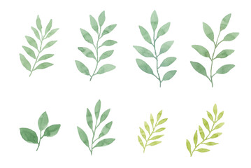 Assortment of watercolor leaves illustration set - green leaf branches collection for wedding, greetings, stationary, wallpapers, fashion, background. olive, green leaves, Eucalyptus etc