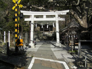鳥居と踏切