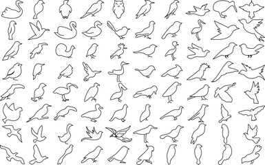 Sparrow, Pigeons, Dove Birds icon set for logo and T-Shirt. Thin line art editable stroke.