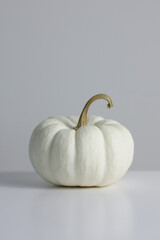 A single white pumpkin sits on a clean surface highlighting its unique beauty in autumn