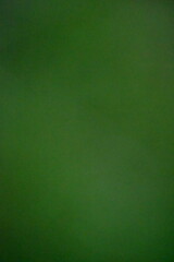 Green Blur Background