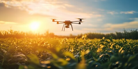 A drone flying over a lush green field during a vibrant sunset, capturing stunning agricultural landscapes.