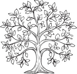 Tree outline silhouette vector. Tree coloring pages, Illustration of a tree outline icon