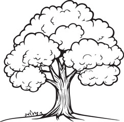 Tree outline silhouette vector. Tree coloring pages, Illustration of a tree outline icon