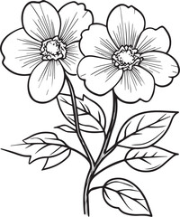 Floral flower outline vector art on a white background, Black outline drawing of floral flowers. 