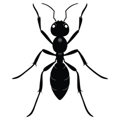 Ant silhouette vector illustration
