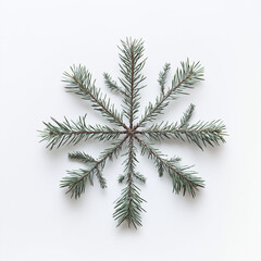 Obraz premium Snowflake made of Christmas tree branches.