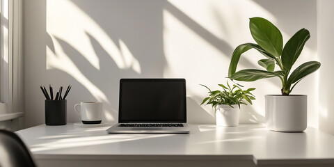 A minimalist workspace with a office desk, a modern laptop, a potted plant