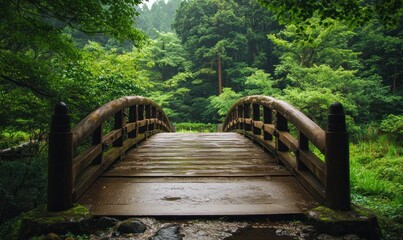 Fototapeta premium Wooden Bridge in Lush Forest