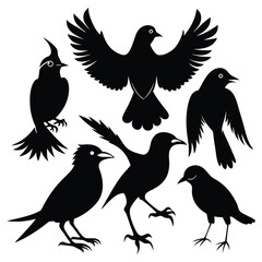 Obraz premium Set Of Silhouettes Of Birds Vector Illustration