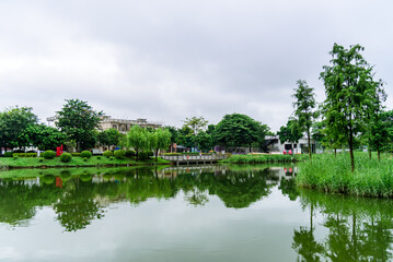 Scenery of Longhu Park in Sangyuan, Dongcheng District, Dongguan. Trees and lake.


