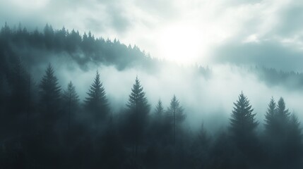 Fototapeta premium Misty valley landscape