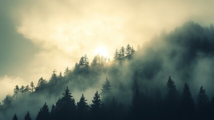 Naklejka premium Misty valley landscape