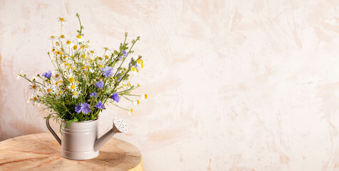 Watering can on wooden stump with healthy wildflowers chamomile and chicory. Banner. Copy space.