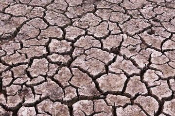 decrease in water levels and large-scale cracking of the soil as a result of drought, soil cracking as a result of drought