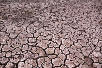 decrease in water levels and large-scale cracking of the soil as a result of drought, soil cracking as a result of drought