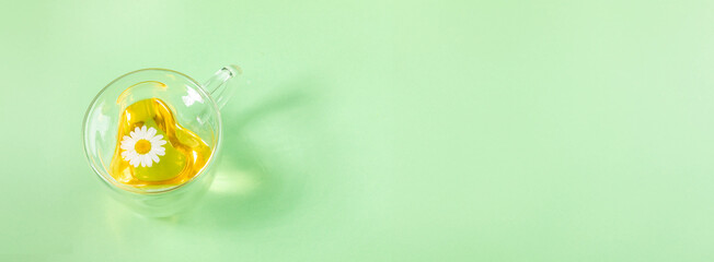 Chamomile tea with one flower in heart glass cup on light green background. Banner. Copy space.