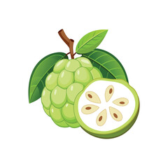 Cherimoya Fruits with Slicer Vector Illustration.