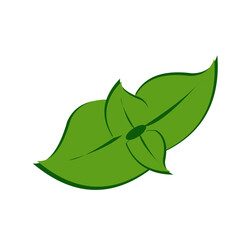 green mint leaves 2 pairs