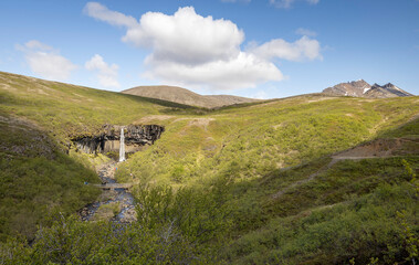 Amphitheater of basalt columns on the hillside with Svartifoss waterfall on a sunny day, Skaftafell...